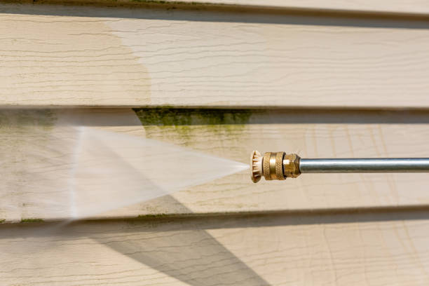 Best Residential Pressure Washing Services  in Greenville, MS